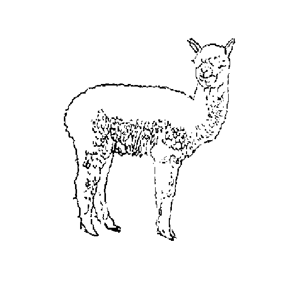 Alpaca Pages Coloring Pages